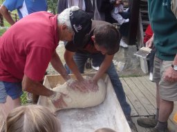 2010_08_14_la_rochette_fete_village_018