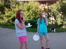 2016_08_13_la_rochette_fete_village_014