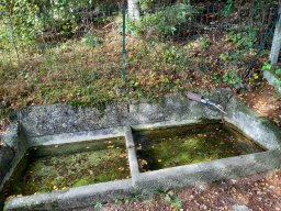 la_rochette_le_lavoir_002
